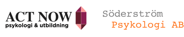 website logo sv